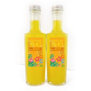 LeBB_23 (LeBB_23)さんの沖縄県で「100%果汁」でも「割材」としても販売する愛媛県愛南町河内晩柑100%果汁のラベルデザインへの提案