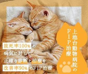 aqua (aquaaqua12)さんの動物病院のサイトで使用する　FIP治療のバナーへの提案