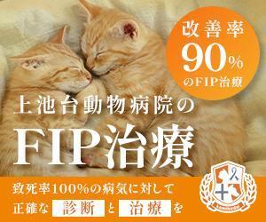 ishi (ishi_14)さんの動物病院のサイトで使用する　FIP治療のバナーへの提案