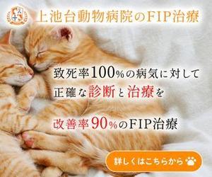 yamakou64 (5f8c38b3b807d)さんの動物病院のサイトで使用する　FIP治療のバナーへの提案