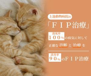 ねぎしろ (neghitama9)さんの動物病院のサイトで使用する　FIP治療のバナーへの提案
