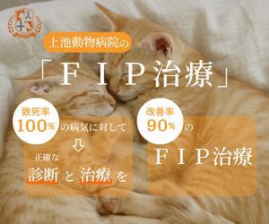 ねぎしろ (neghitama9)さんの動物病院のサイトで使用する　FIP治療のバナーへの提案