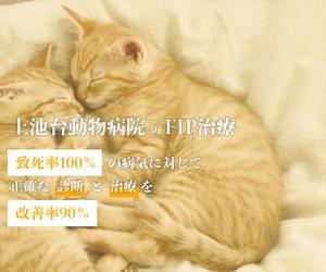 rii. (624fccc05e360)さんの動物病院のサイトで使用する　FIP治療のバナーへの提案