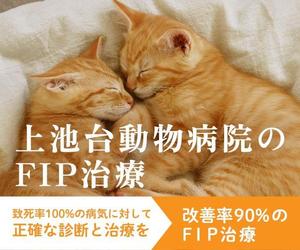 Chie Nagasawa (ChieNagasawa)さんの動物病院のサイトで使用する　FIP治療のバナーへの提案