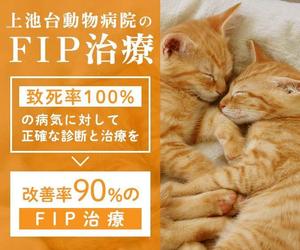 Chie Nagasawa (ChieNagasawa)さんの動物病院のサイトで使用する　FIP治療のバナーへの提案
