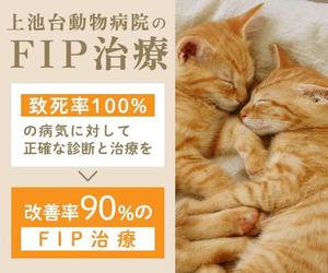Chie Nagasawa (ChieNagasawa)さんの動物病院のサイトで使用する　FIP治療のバナーへの提案