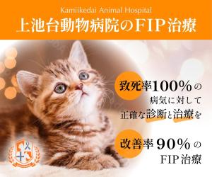 Krea (krea_design)さんの動物病院のサイトで使用する　FIP治療のバナーへの提案