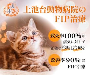 Krea (krea_design)さんの動物病院のサイトで使用する　FIP治療のバナーへの提案