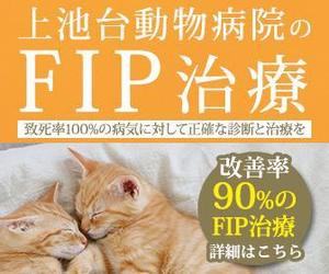 ultimasystem (ultimasystem)さんの動物病院のサイトで使用する　FIP治療のバナーへの提案
