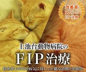 imagics (voltaren)さんの動物病院のサイトで使用する　FIP治療のバナーへの提案