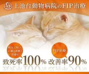 kg12 (kg12)さんの動物病院のサイトで使用する　FIP治療のバナーへの提案