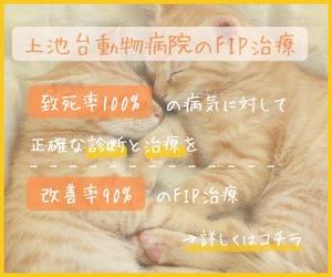 haridon_さんの動物病院のサイトで使用する　FIP治療のバナーへの提案