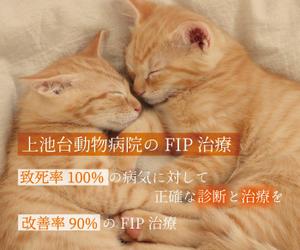 LeBB_23 (LeBB_23)さんの動物病院のサイトで使用する　FIP治療のバナーへの提案
