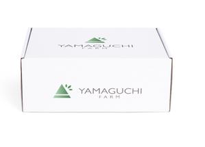 悠希 (yuruta1224)さんの山口いちご園「yamaguchi farm」のロゴ作成依頼への提案
