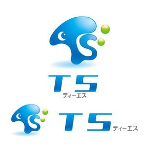perles de verre (perles_de_verre)さんの「TS 　ティーエス」のロゴ作成への提案