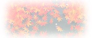 studio_stさんの美しい自然　イラスト・または写真加工【紅葉（こうよう）】への提案