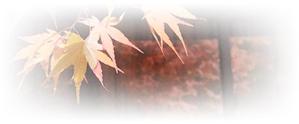 76worksさんの美しい自然　イラスト・または写真加工【紅葉（こうよう）】への提案