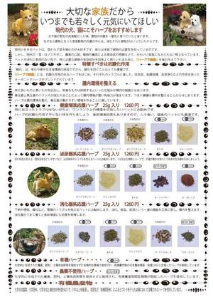寺谷深登里 (hukadori88)さんのハーブのサプリメントのチラシ(片面印刷)のデザインの依頼への提案