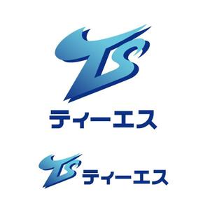 Ochan (Ochan)さんの「TS 　ティーエス」のロゴ作成への提案