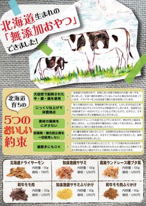 naturara (naturara)さんのペットのおやつのチラシ(片面印刷)のデザインへの提案