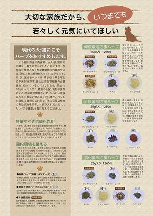 さんのハーブのサプリメントのチラシ(片面印刷)のデザインの依頼への提案
