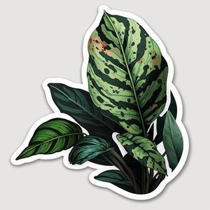 N..// (eng_jap)さんの植物の好きな人が車に貼るステッカー制作への提案