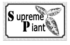 デザインオフイスkoike (syayuujinn)さんの植物の好きな人が車に貼るステッカー制作への提案