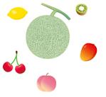 CUBE (cube1)さんの酵素ドリンク用のイラストへの提案
