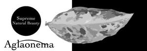 ufoeno (ufoeno)さんの植物の好きな人が車に貼るステッカー制作への提案