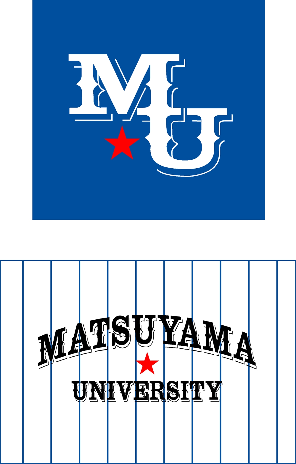 matsuyamauniversity.jpg