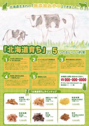 MOMONO (kisarag)さんのペットのおやつのチラシ(片面印刷)のデザインへの提案