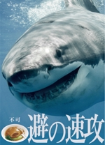 anna (ist2011)さんのサメの画像に「不可避の速攻」という文字を入れたデザインを作成してほしいです。への提案