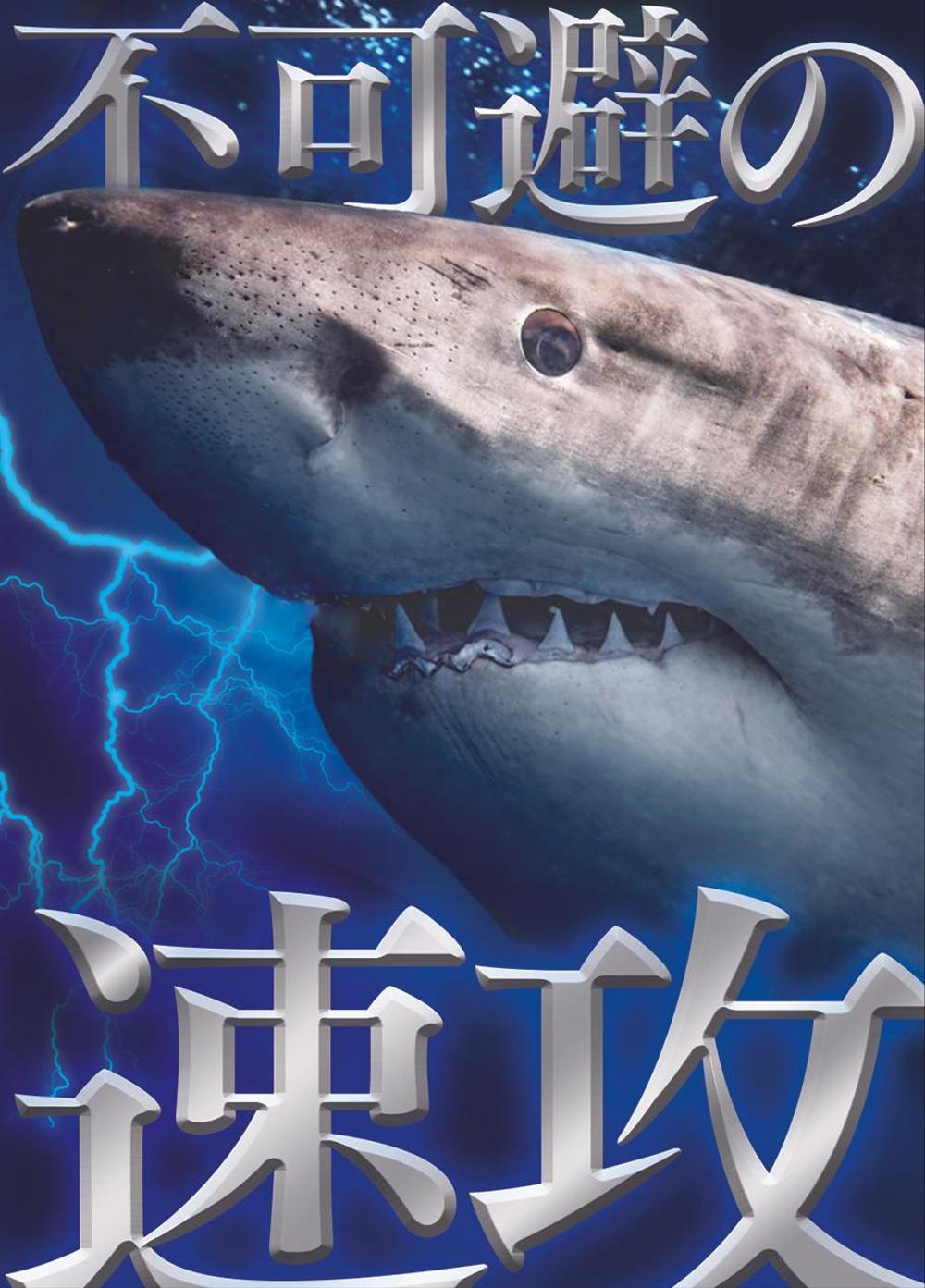 shark_card_lienworks.jpg
