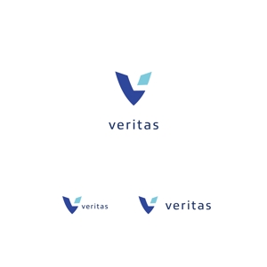 途理tori. (toritoritori3)さんの医療系IT会社「Veritas」(ヴェリタス)のロゴへの提案
