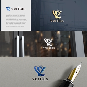 drkigawa (drkigawa)さんの医療系IT会社「Veritas」(ヴェリタス)のロゴへの提案