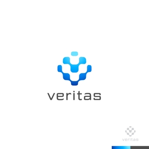sakari2 (sakari2)さんの医療系IT会社「Veritas」(ヴェリタス)のロゴへの提案