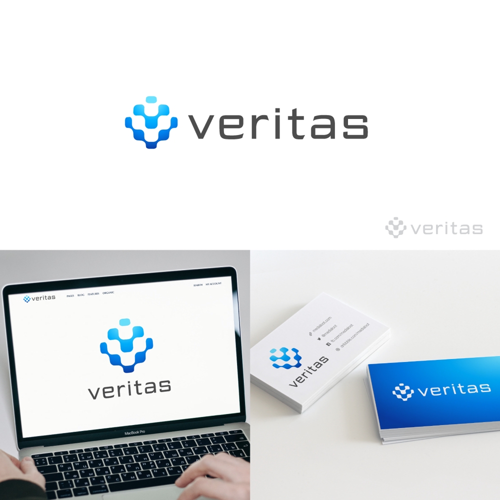 医療系IT会社「Veritas」(ヴェリタス)のロゴ