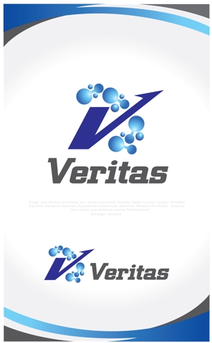 Q-Design (cats-eye)さんの医療系IT会社「Veritas」(ヴェリタス)のロゴへの提案