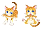 宗野 陽子 (sounoyouko)さんの猫のイメージキャラクターを作成してほしいへの提案