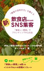 Tkgoogle (Tkgoogle)さんの電子書籍「飲食店のための新・SNS集客〜「美味しい野菜」でブランディングする方法〜」の表紙デザインへの提案