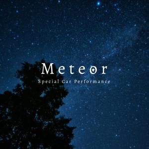 MOKU (mok_)さんのカーラッピング「Meteor」のロゴマーク作成依頼への提案