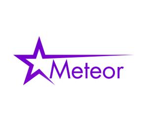 emilys (emilysjp)さんのカーラッピング「Meteor」のロゴマーク作成依頼への提案