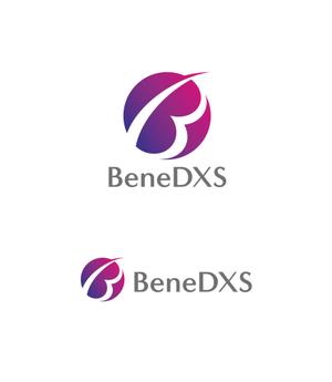 horieyutaka1 (horieyutaka1)さんの税理士法人「BeneDXS」(ベネディックス)のロゴへの提案