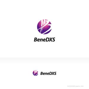 ブロックデザイン (blockdesign)さんの税理士法人「BeneDXS」(ベネディックス)のロゴへの提案
