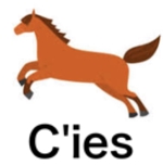 placegreenさんのエステサロンの店名「C'ies」のロゴへの提案