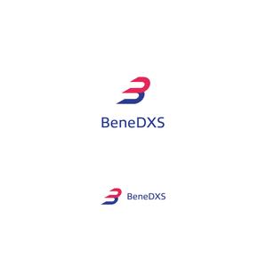 途理tori. (toritoritori3)さんの税理士法人「BeneDXS」(ベネディックス)のロゴへの提案