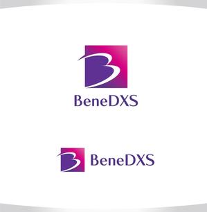 M STYLE planning (mstyle-plan)さんの税理士法人「BeneDXS」(ベネディックス)のロゴへの提案