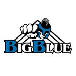 FLOW DESIGN STUDIO (Lah34)さんのプロレス・格闘技グッズショップのロゴマークへの提案