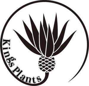片山颯斗 ()さんのアガベショップ　Kings Plants　のロゴへの提案