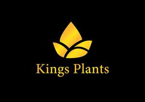 Pocket Graph ()さんのアガベショップ　Kings Plants　のロゴへの提案